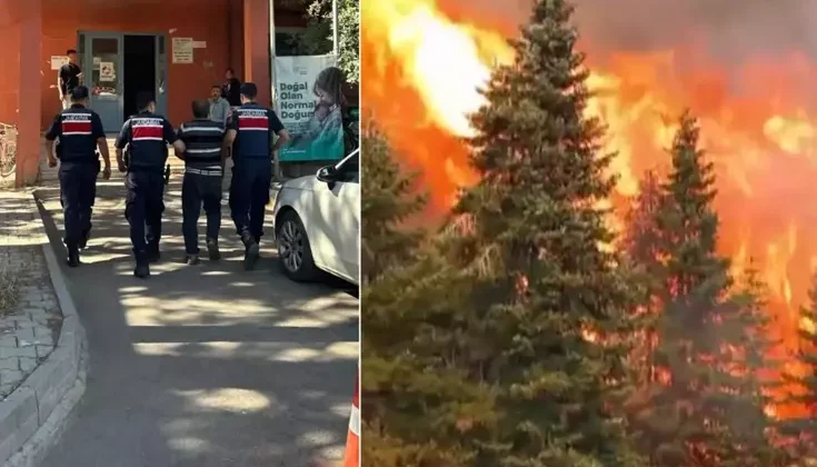 80 hektar ormanın yanmasına neden olan arıcı tutuklandı