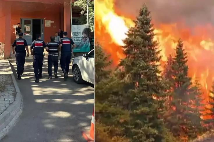 80 hektar ormani yakan arici tutuklandi 18957237 3239 amp