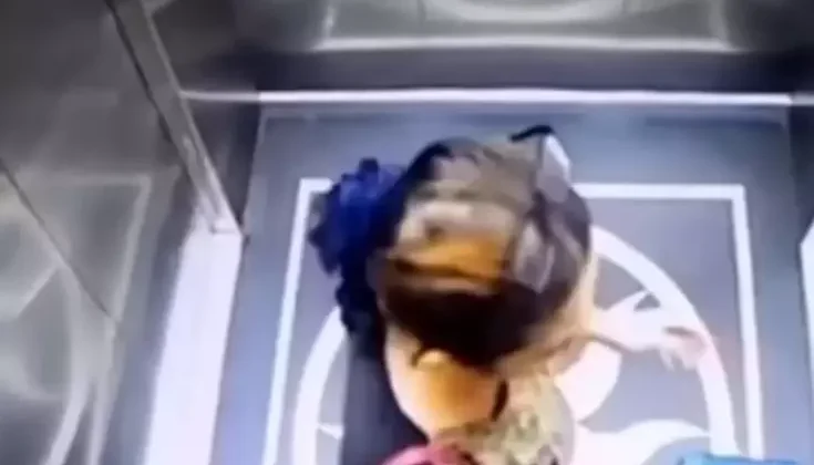 Asansör kapısını zorlayan kadın boşluğa düşerek hayatını kaybetti