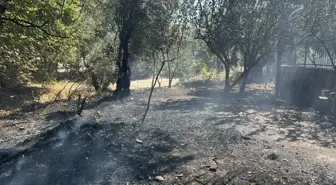 Edremit'te Çıkan Örtü Yangını Kontrol Altına Alındı 3 balikesir de cikan ortu yangini sonduruldu 18924415 amp