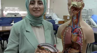 Bağırsak Sağlığı Beyin Fonksiyonlarıyla İlişkili 3 doc dr aslan bagirsaklariniz saglikli olursa 18923288 amp