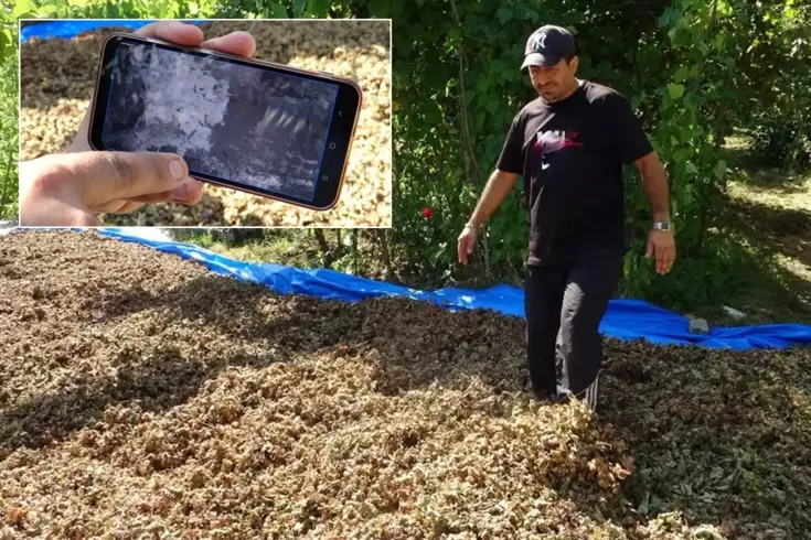 findiginin calindigini sandi kameralari 18957193 3984 amp