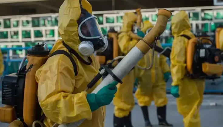 Chikungunya virüsü hızla yayılıyor! 16 ülkede 240 binden fazla vaka, 90 ölü