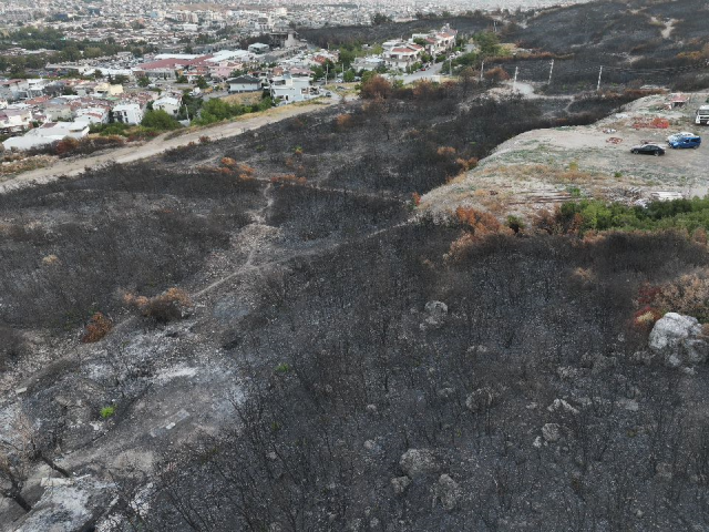 İzmir'de minibüste çıkıp ormana sıçrayan yangın kontrol altına alındı