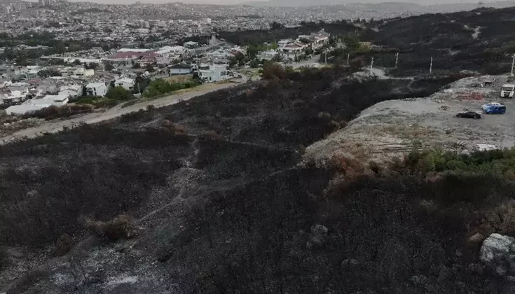 İzmir’de minibüste çıkıp ormana sıçrayan yangın kontrol altına alındı
