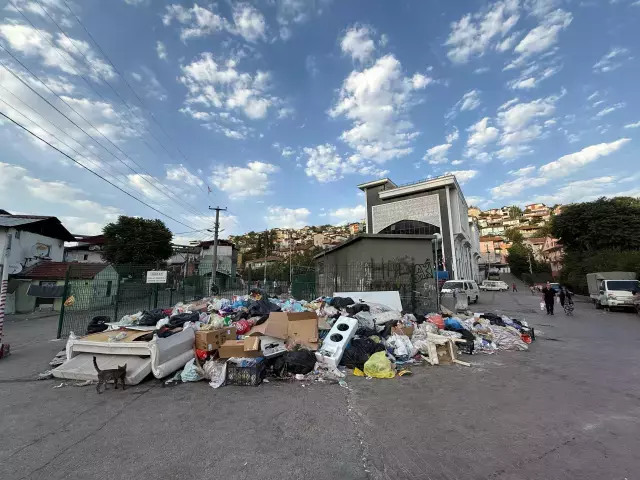 İzmir'den sonra, İzmit de çöplüğe döndü