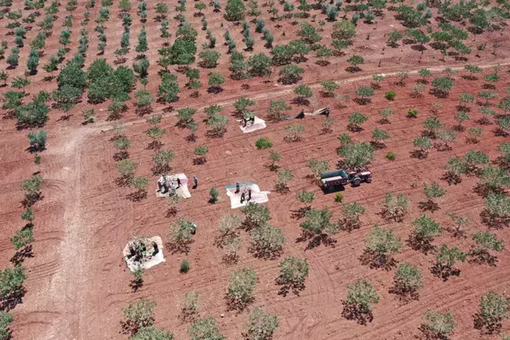 Kilosu 700 liraya çıktı, duyan tarlasına ekmek istiyor 3 kilosu 700 liraya cikti duyan tarlasina ekmek 18952883 6923 amp