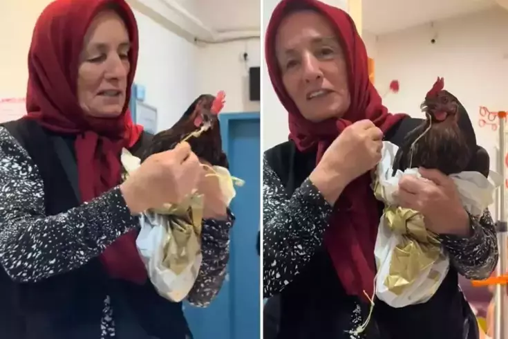 tavugunu devlet hastanesine goturdu personelin 18919742 6511 amp