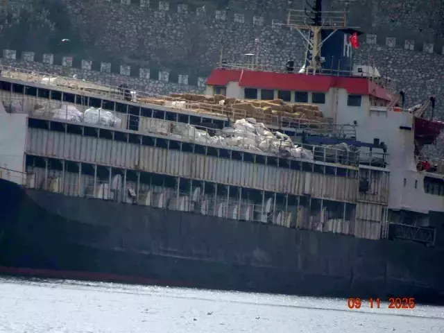 Bandırma açıklarında demirleyen gemide skandal: İnekler susuzluktan boruları yaladı Bandırma açıklarında demirleyen gemide skandal: İnekler susuzluktan boruları yaladı
